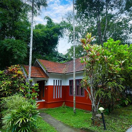 Vythiri Holiday Resort, Wayanad Экстерьер фото