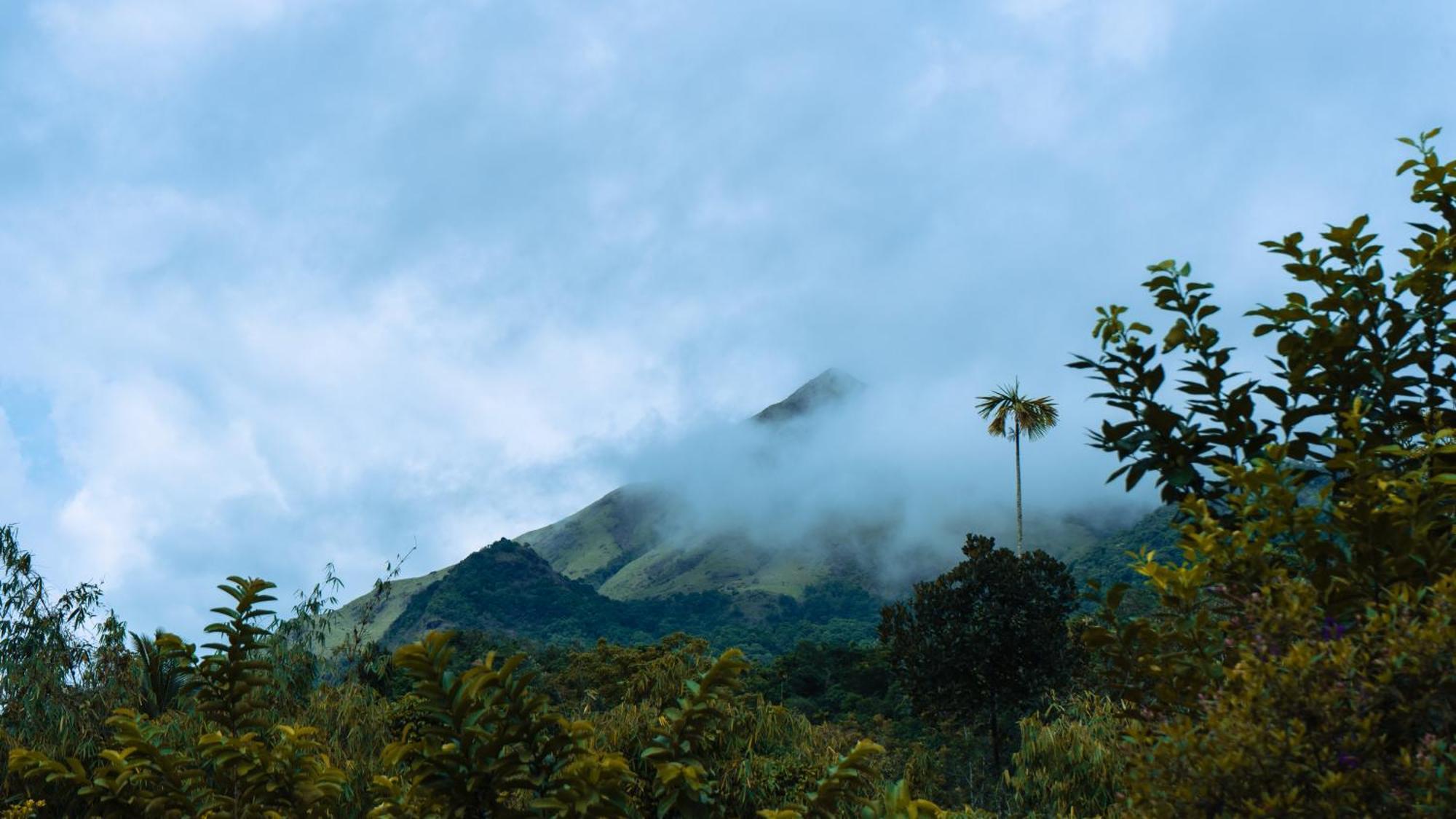 Vythiri Holiday Resort, Wayanad Экстерьер фото